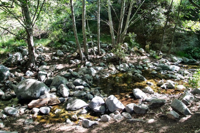 Eaton Canyon Falls 19