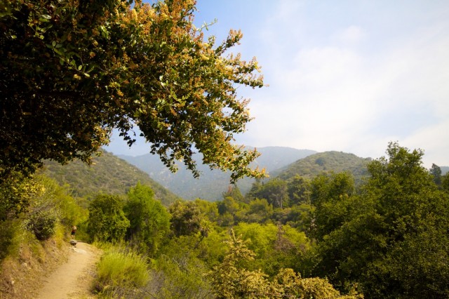 Monrovia Canyon Falls 6