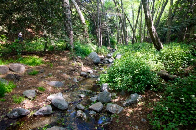 Monrovia Canyon Falls 8