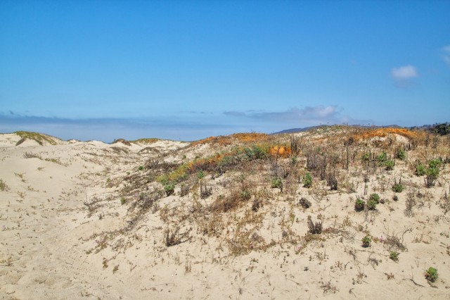 San Buenaventura Beach 16