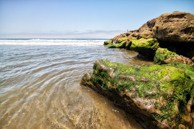 San Buenaventura Beach 5