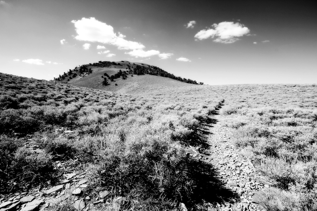 Telescope Peak 25