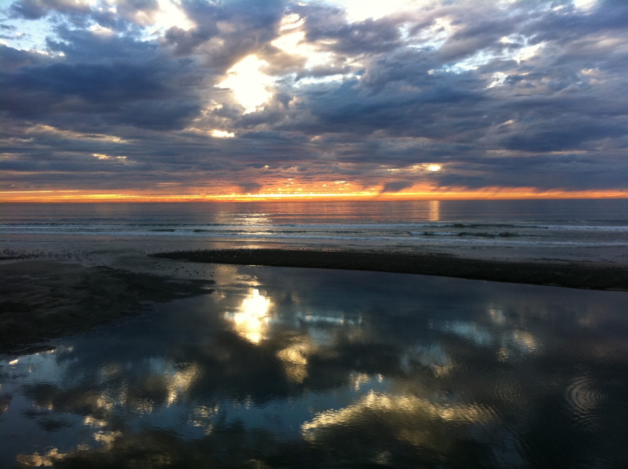 San Diego Craigslist'S Most Unusual Finds - ljqt6vc