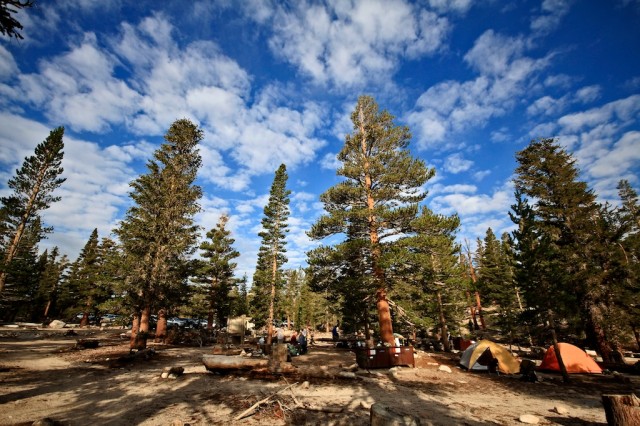 Golden Trout Wilderness 2