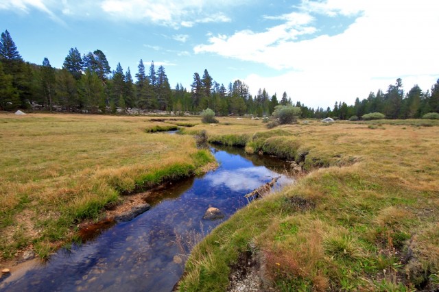 Golden Trout Wilderness 20