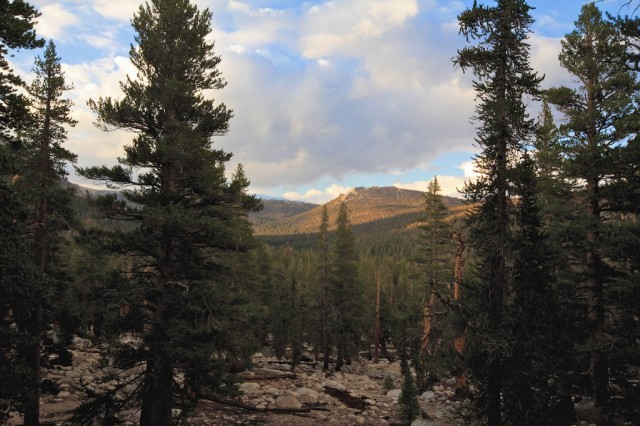 Golden Trout Wilderness 23