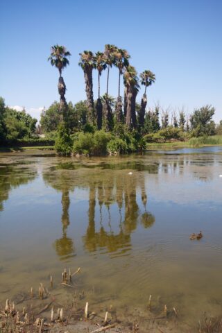 Rancho Jurupa Park 11