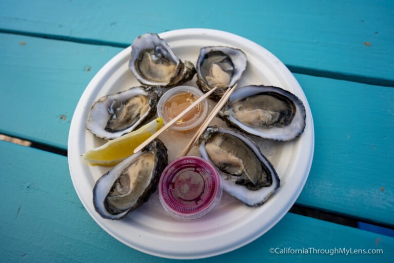 The Jolly Oyster: A Bike Up Oyster Bar in Ventura