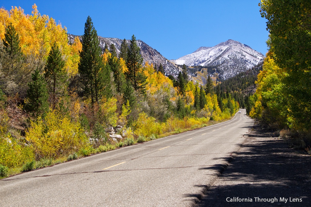 fall scenery in california