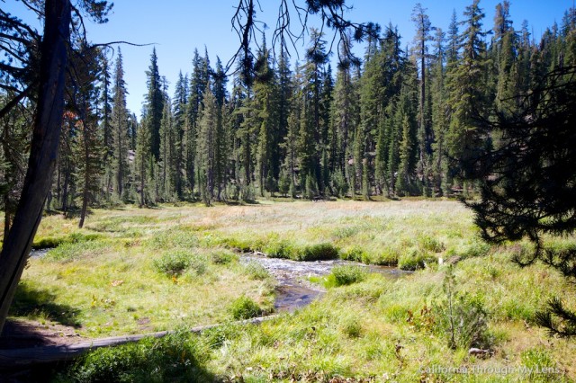 Kings Creek Falls 3