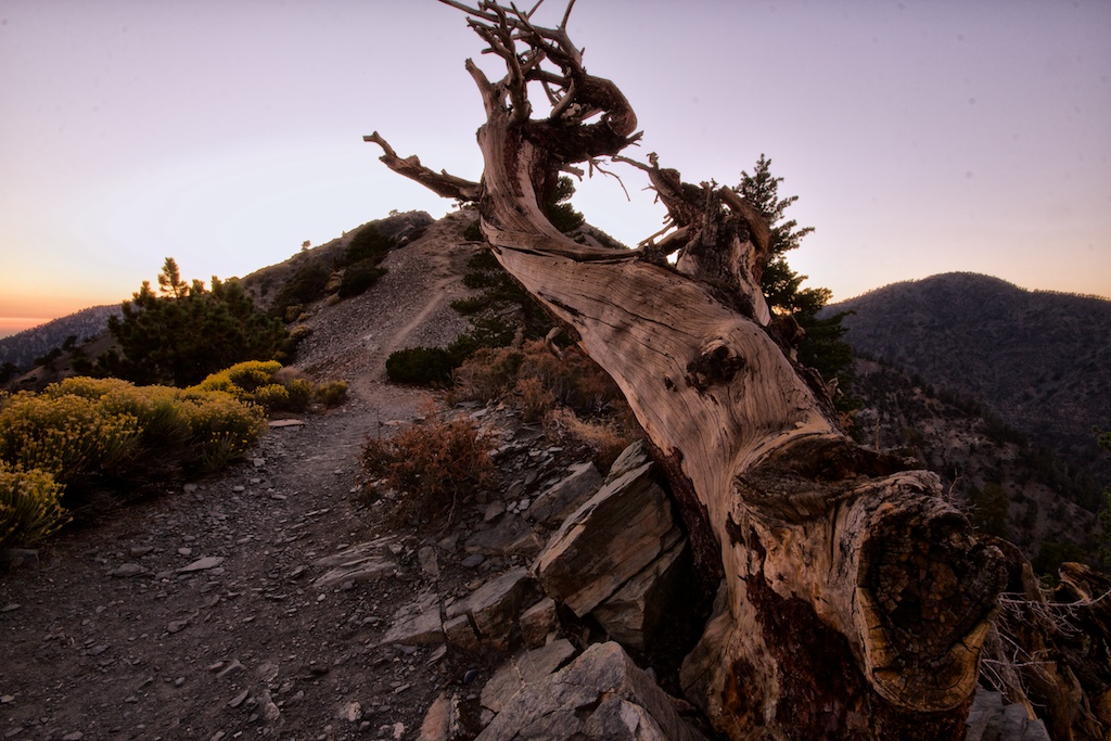 Mt Baldy Night Hike 22