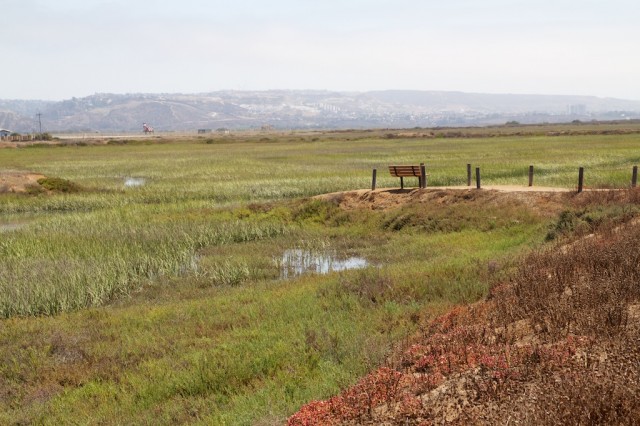 Tijuana Estuary 18