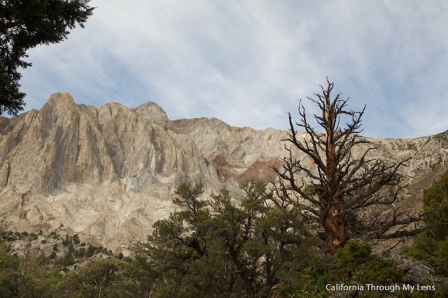 Convict Lake Loop 12