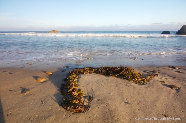 Leo Carrillo Beach 3