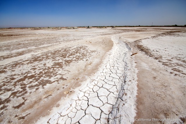 Salton Sea Mud Pots 2