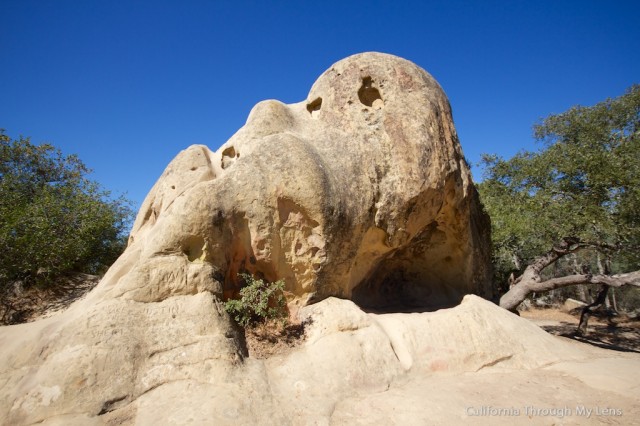 Mt Diablo State Park 1