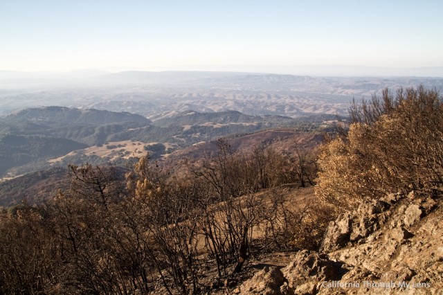 Mt Diablo State Park 13