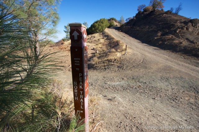 Mt Diablo State Park 18