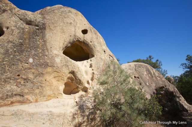 Mt Diablo State Park 28