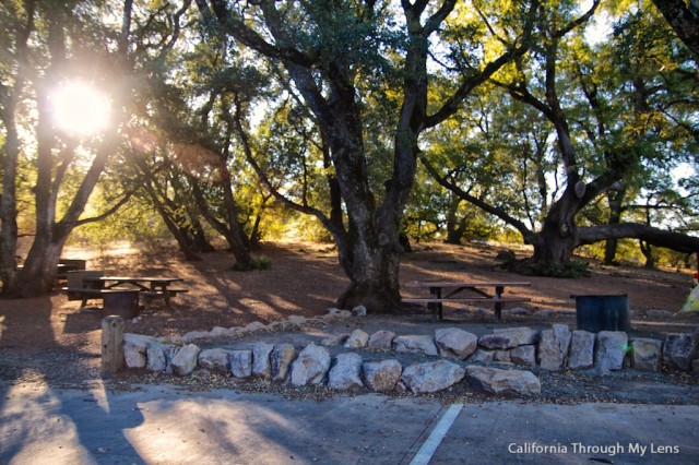 Mt Diablo State Park 6