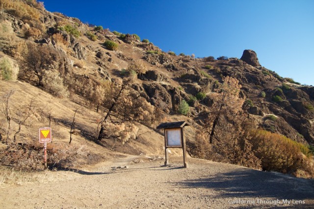 Mt Diablo State Park 7