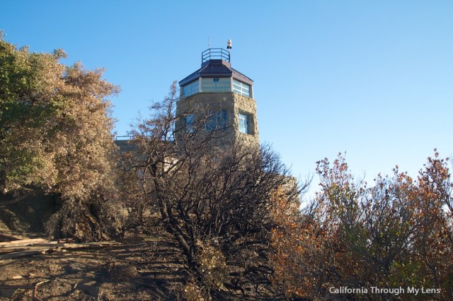 Mt Diablo State Park 9