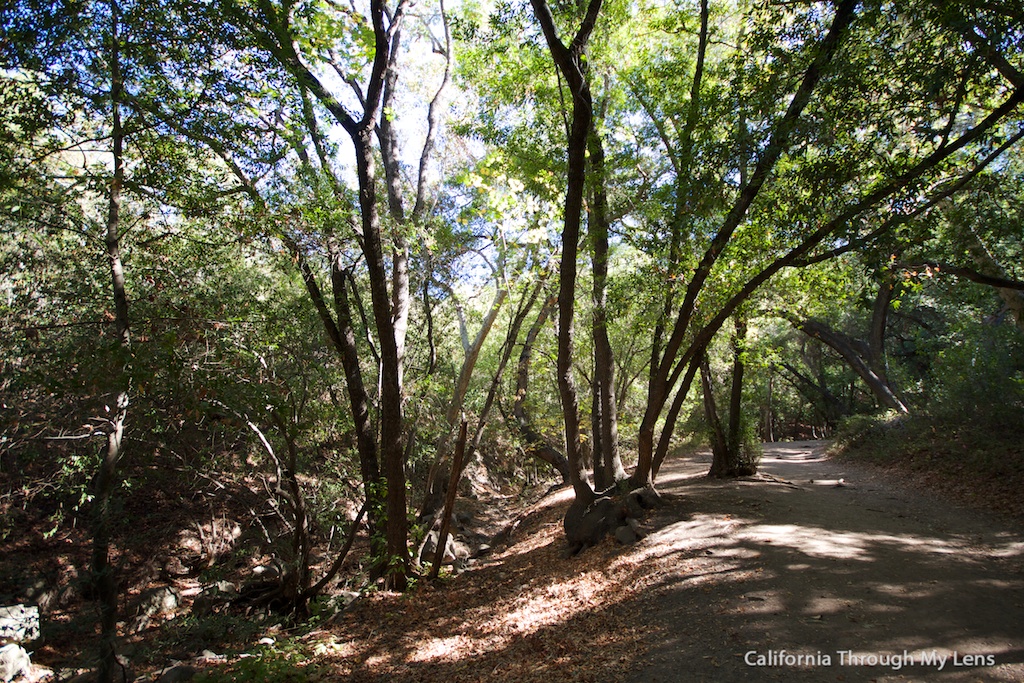 Nojoqui Falls Park: Waterfall Near Solvang - California Through My Lens