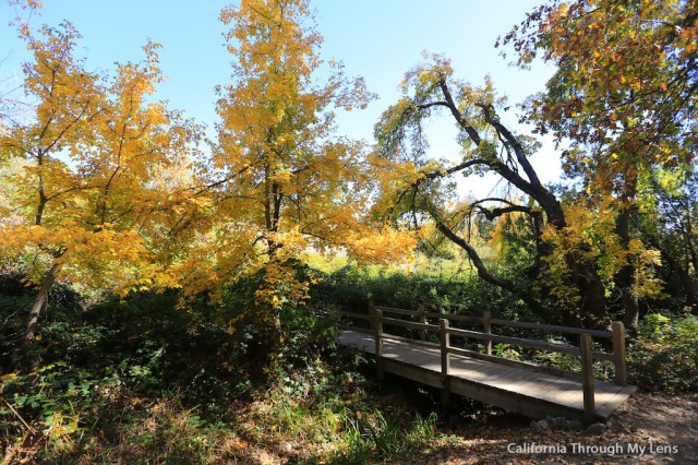 Oak Glen Hike 23