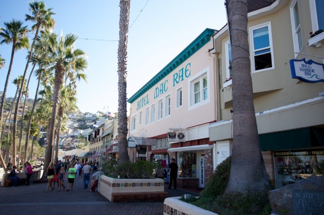 Avalon Catalina 8