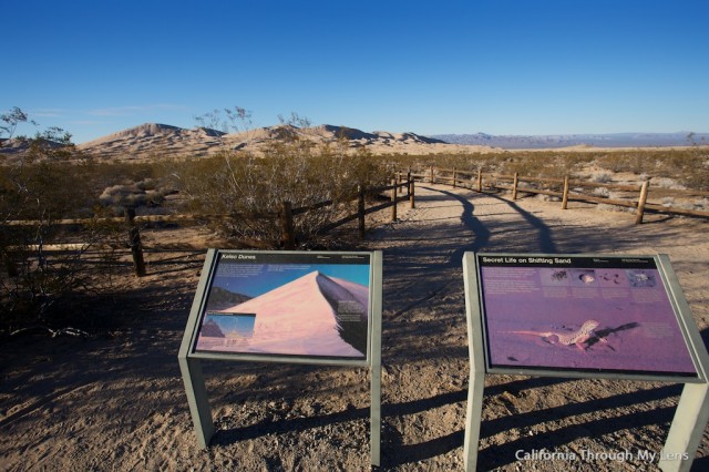 Kelso Dunes 1