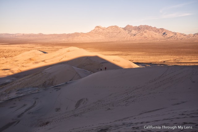 Kelso Dunes 14