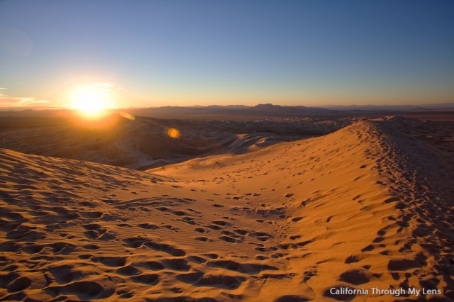 Kelso Dunes 18