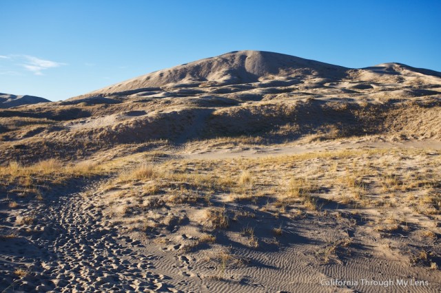 Kelso Dunes 4