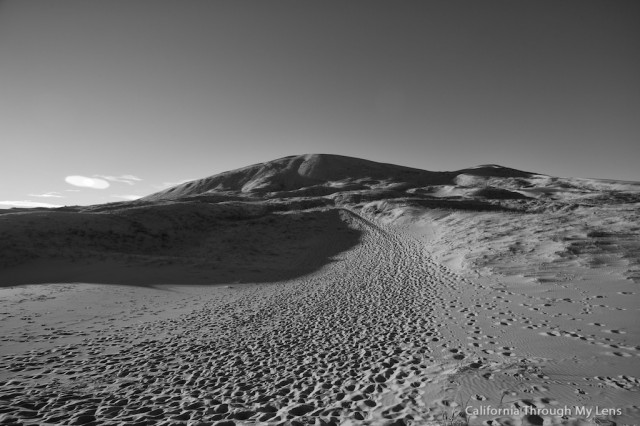 Kelso Dunes 5