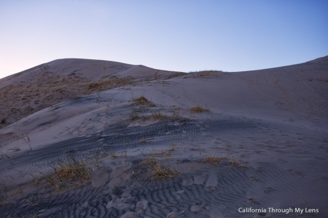 Kelso Dunes 8