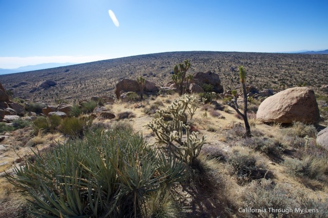 Teutonia Peak 5