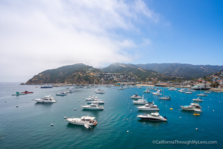 Avalon Day Trip: What to do on Catalina Island