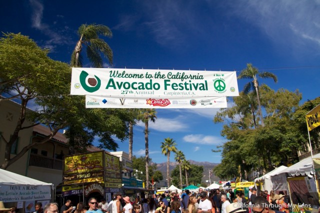 Avocado Festival 11