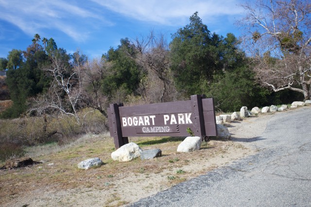 Bogart Park 15