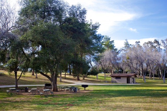 Bogart Park 30