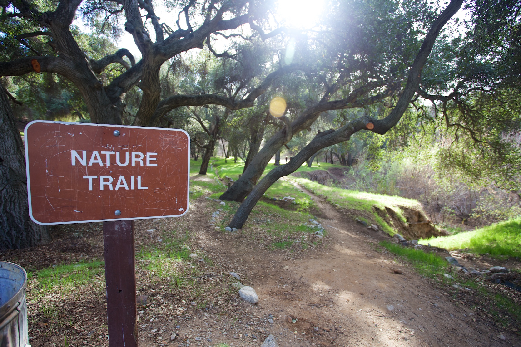 Bogart Park: Camping, Fishing & Hiking in Cherry Valley - California Through My Lens