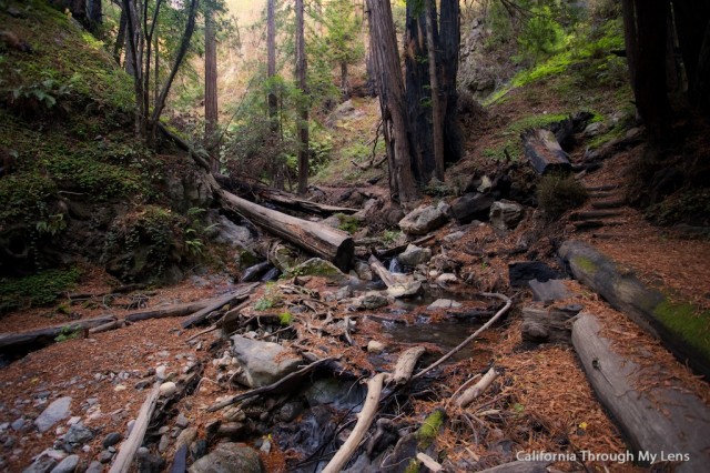 Limekiln Big Sur 1