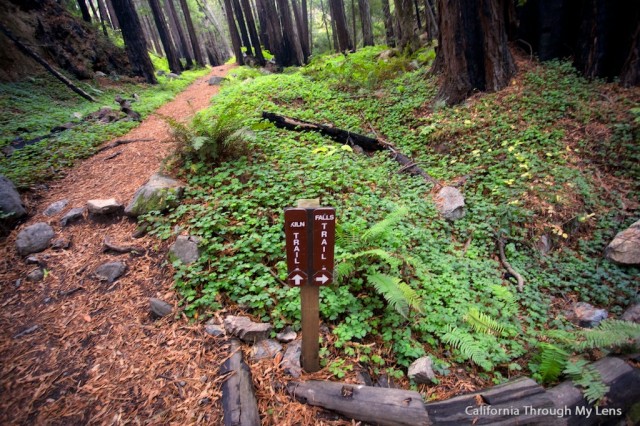 Limekiln Big Sur 12