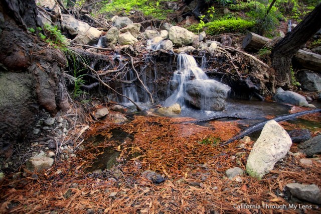 Limekiln Big Sur 13