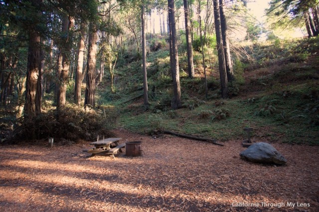 Limekiln Big Sur 19