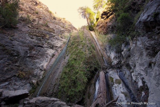 Limekiln Big Sur 8