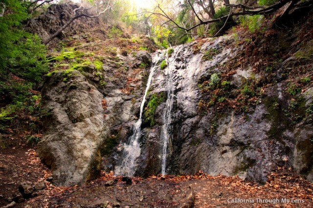 Pfeiffer Falls 17