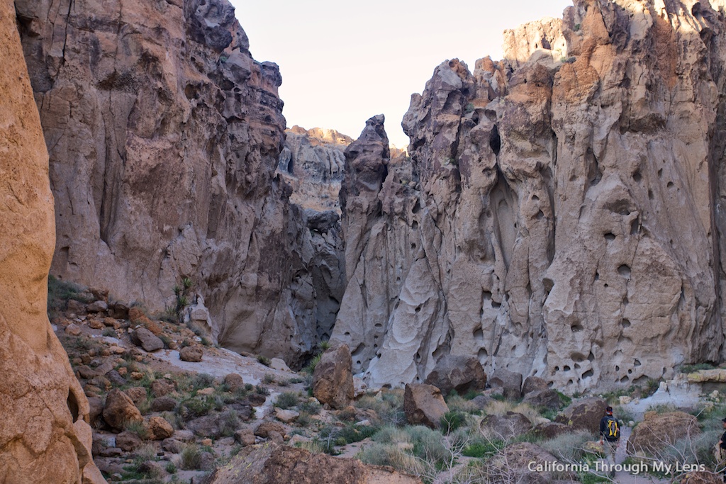 The Rings Trail in Mojave National Preserve California Through