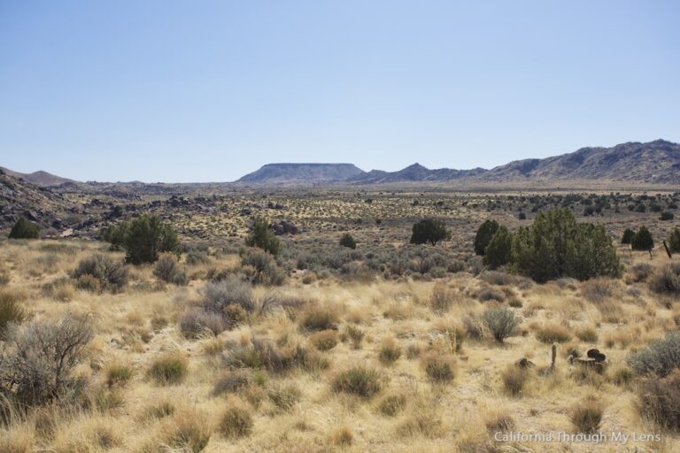 Rock Springs Trail in Mojave National Preserve