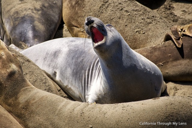 Seals